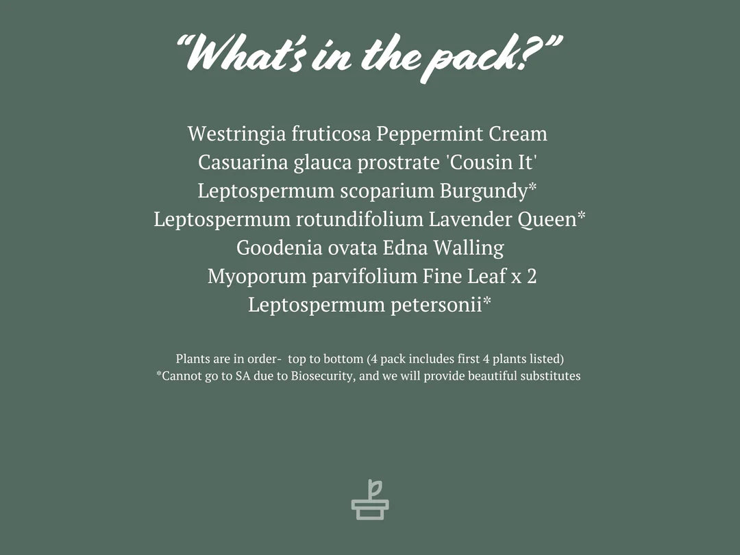 Plants in a Box: Pollinators Box Australian Native Plant Pack Plants in a Box: Pollinators Box Australian Native Plant Pack