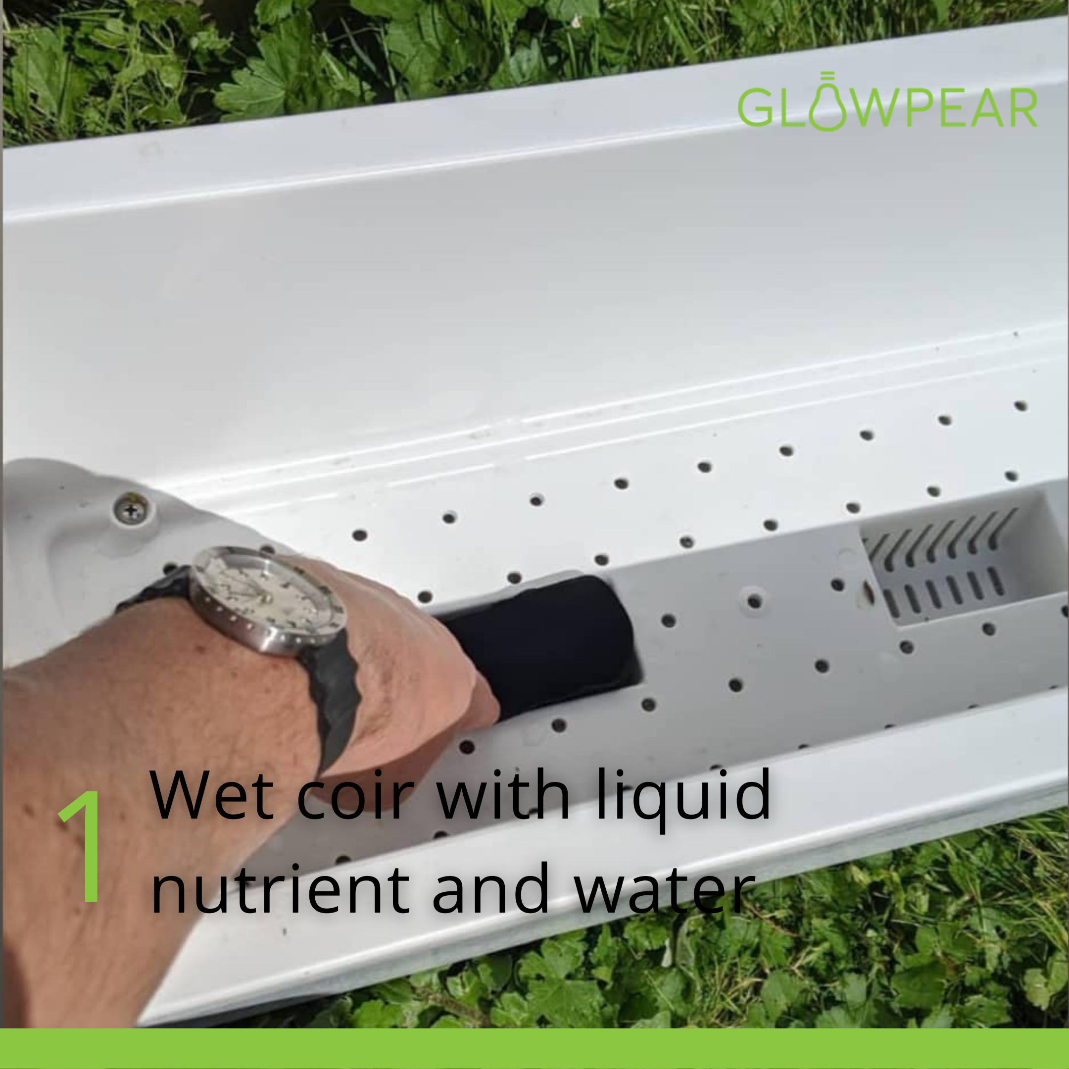 YearRound Sprouter Pack YearRound Sprouter Pack