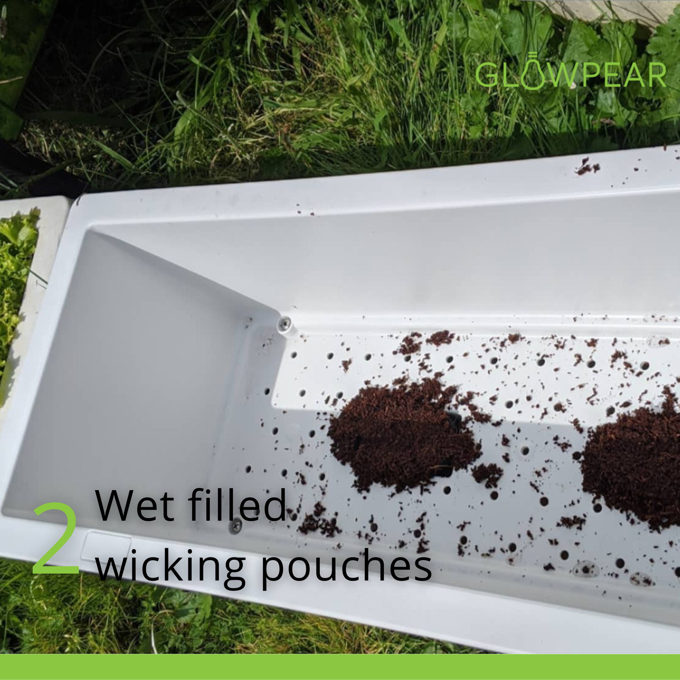 YearRound Sprouter Pack YearRound Sprouter Pack