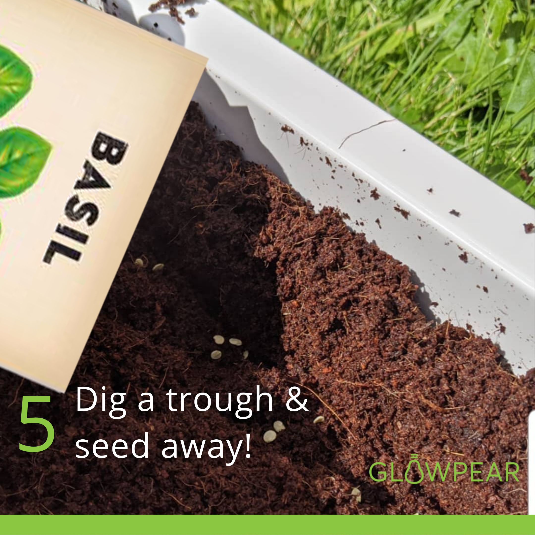 YearRound Sprouter Pack YearRound Sprouter Pack