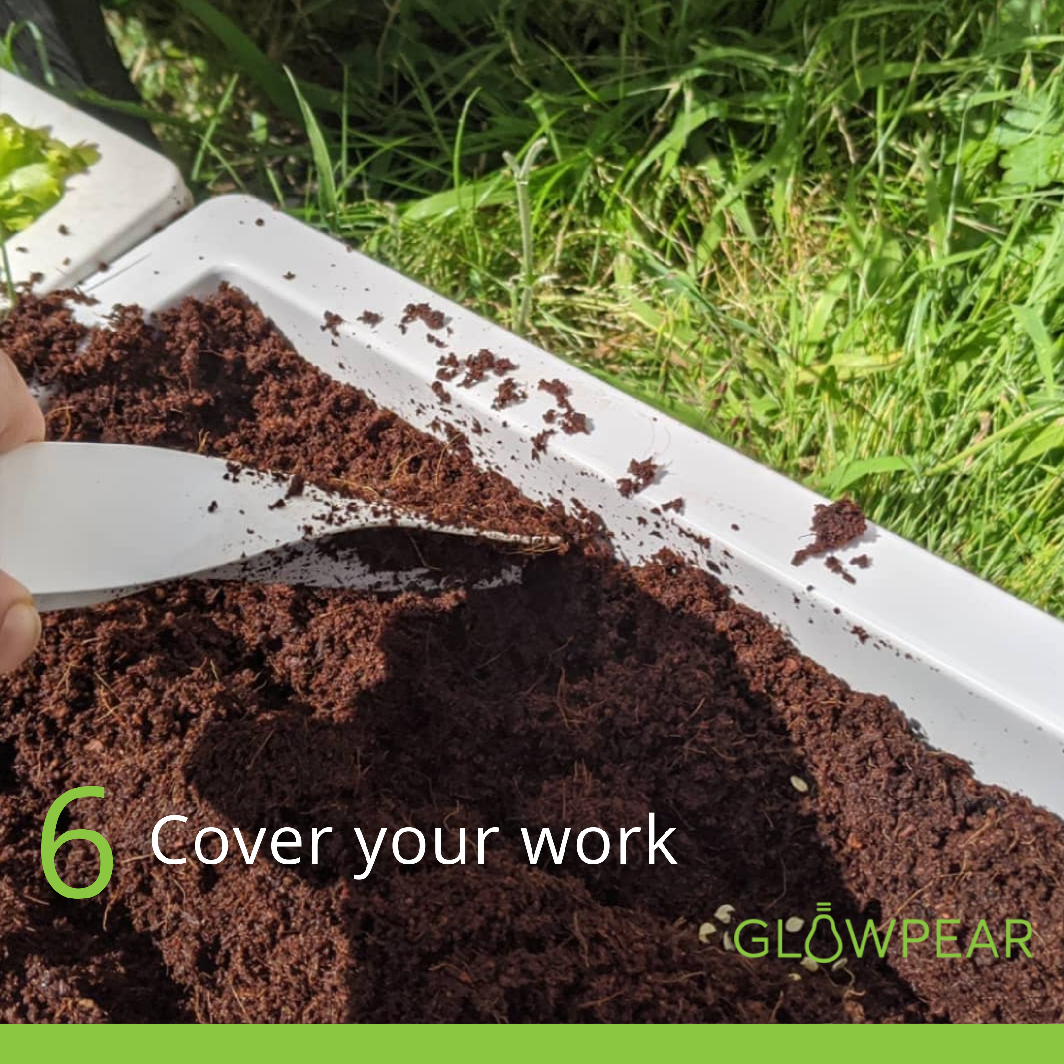 YearRound Sprouter Pack YearRound Sprouter Pack