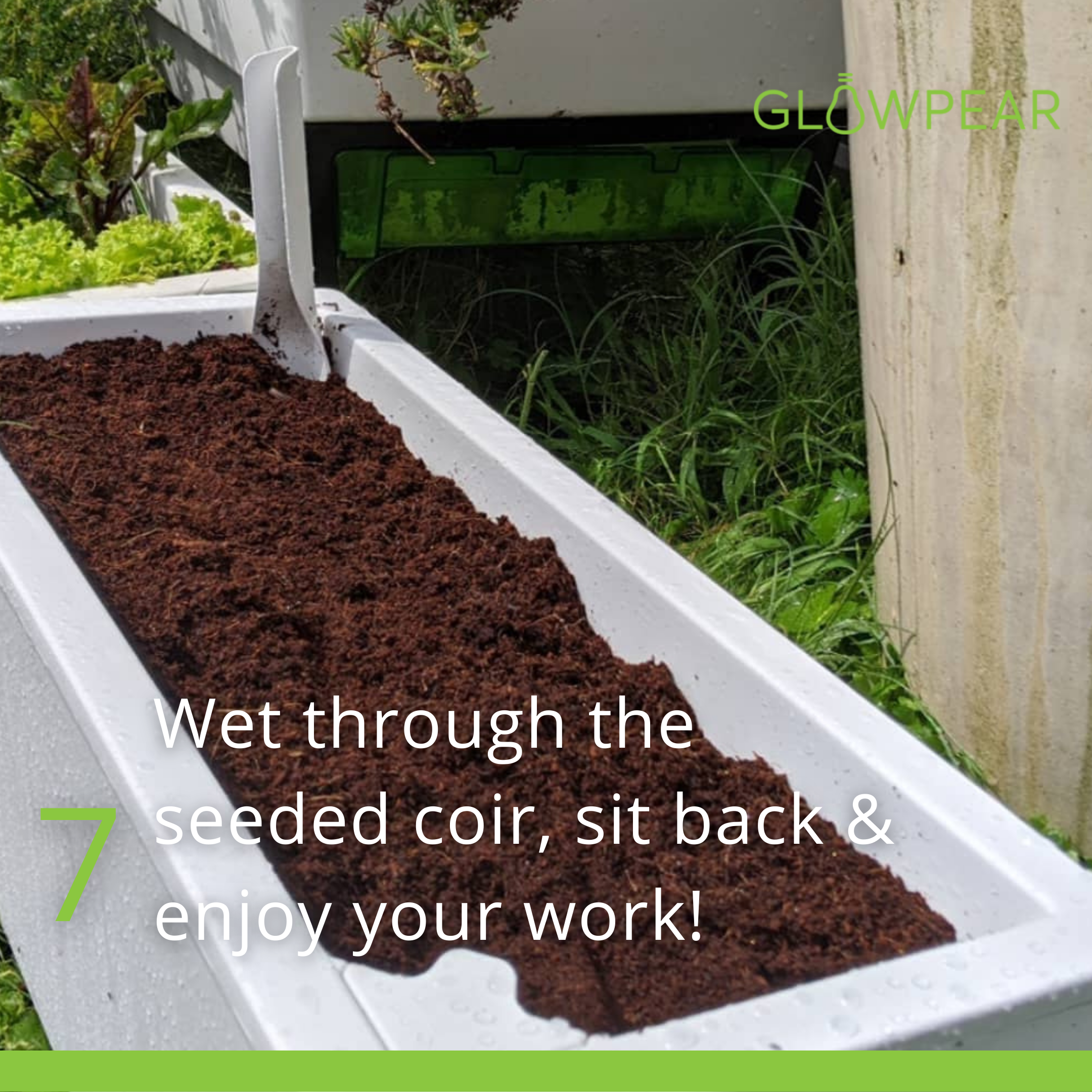 YearRound Sprouter Pack YearRound Sprouter Pack