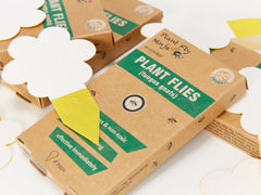 Boxes of Fungal Gnat Sticky Traps with some sticky traps out of the boxes