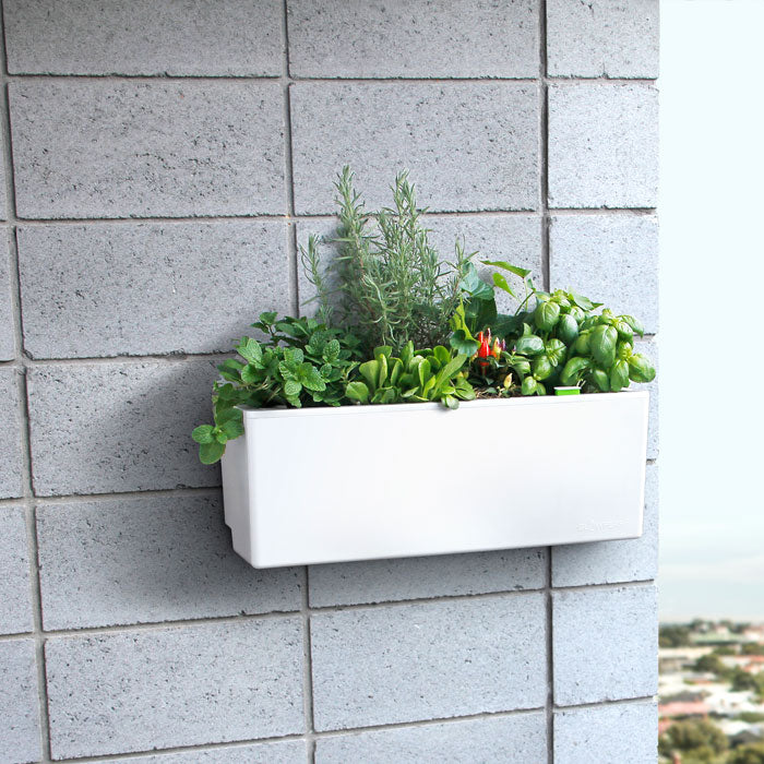 Self watering white balcony planter box Self watering white balcony planter box