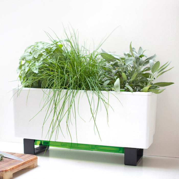 Mini Bench Self Watering Planter Mini Bench Self Watering Planter