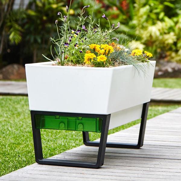 Glowpear Self Watering Planter  Glowpear Self Watering Planter