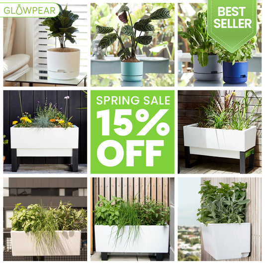 Welcome Spring 2024🪴15% off for Self Watering Planters