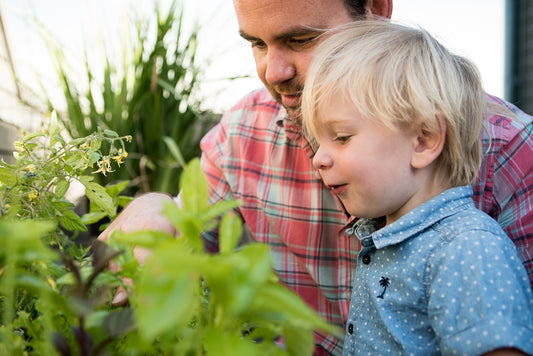 Twinkl: Preparing Future Generations For Spreading The Urban Jungle