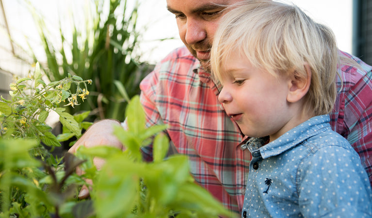 Twinkl: Preparing Future Generations For Spreading The Urban Jungle