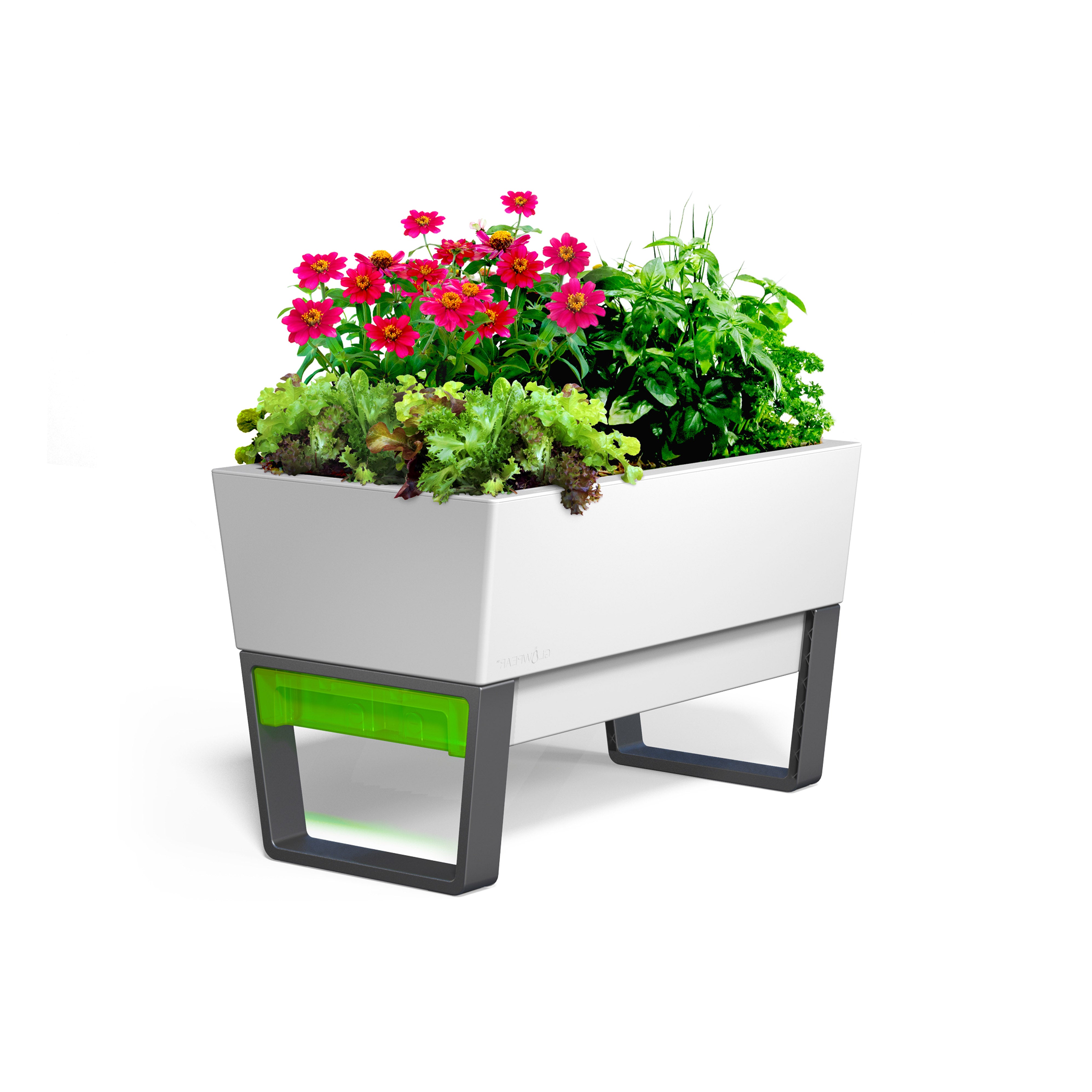 Urban Garden