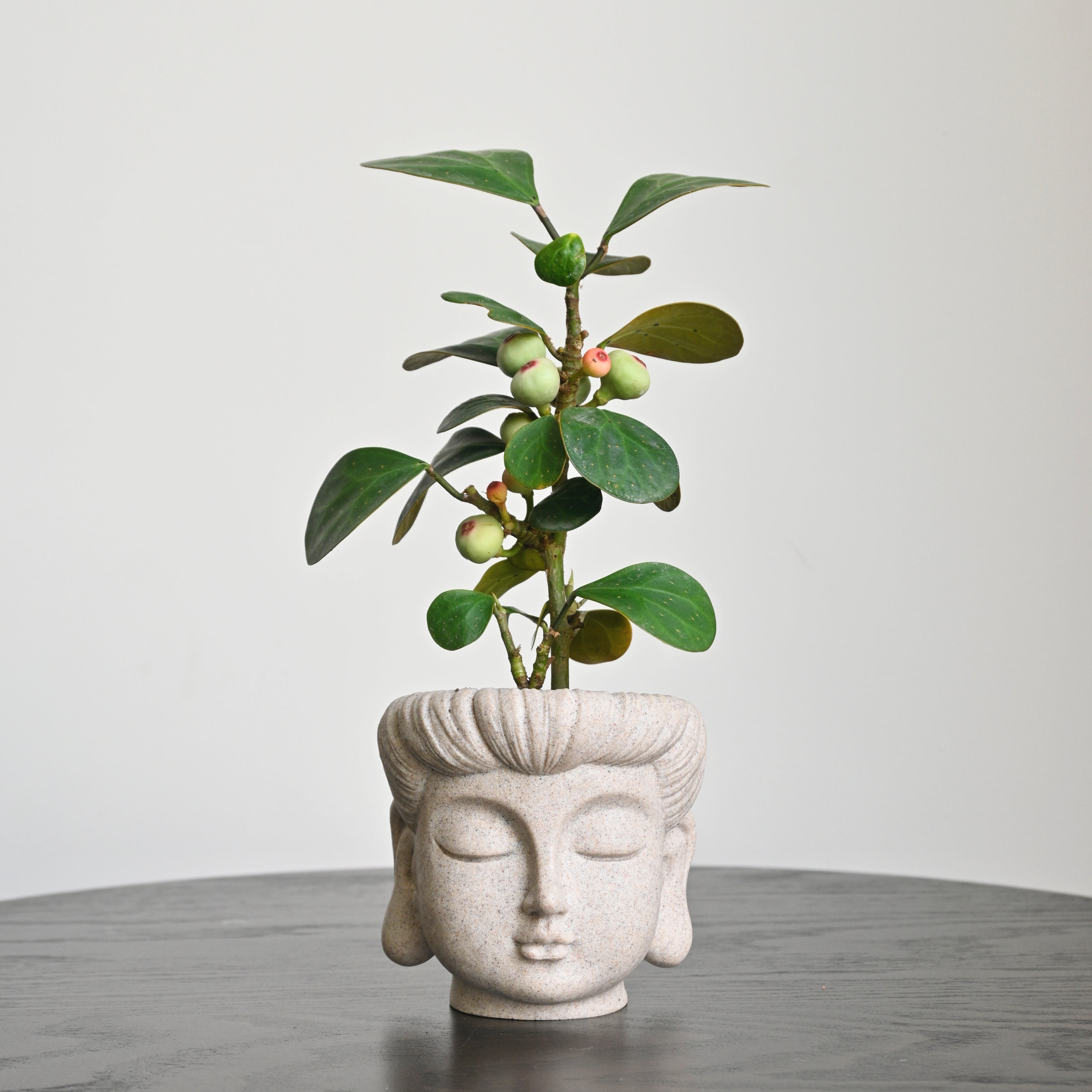 Buddha Statue Planter