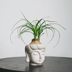 Buddha Statue Planter