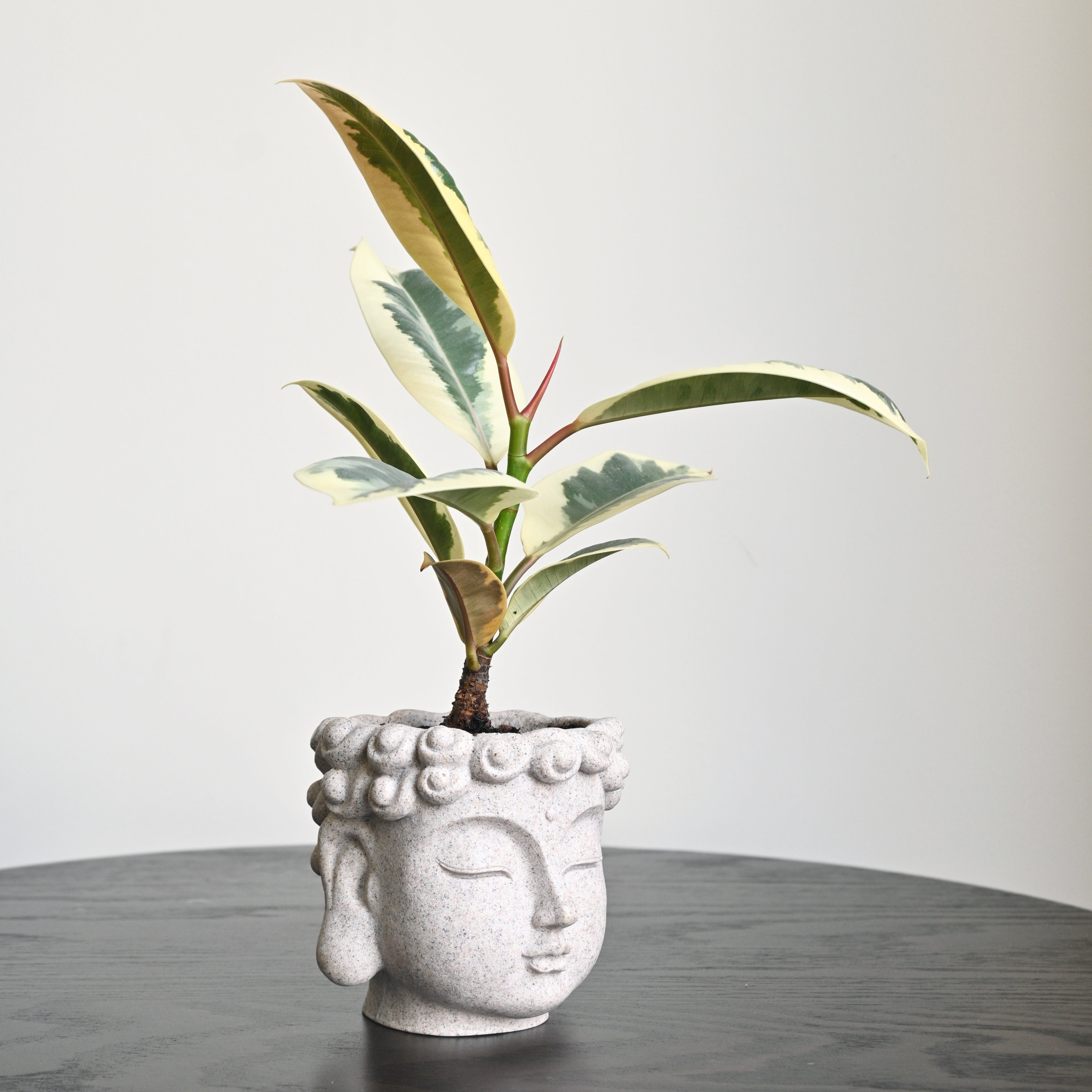 Buddha Statue Planter