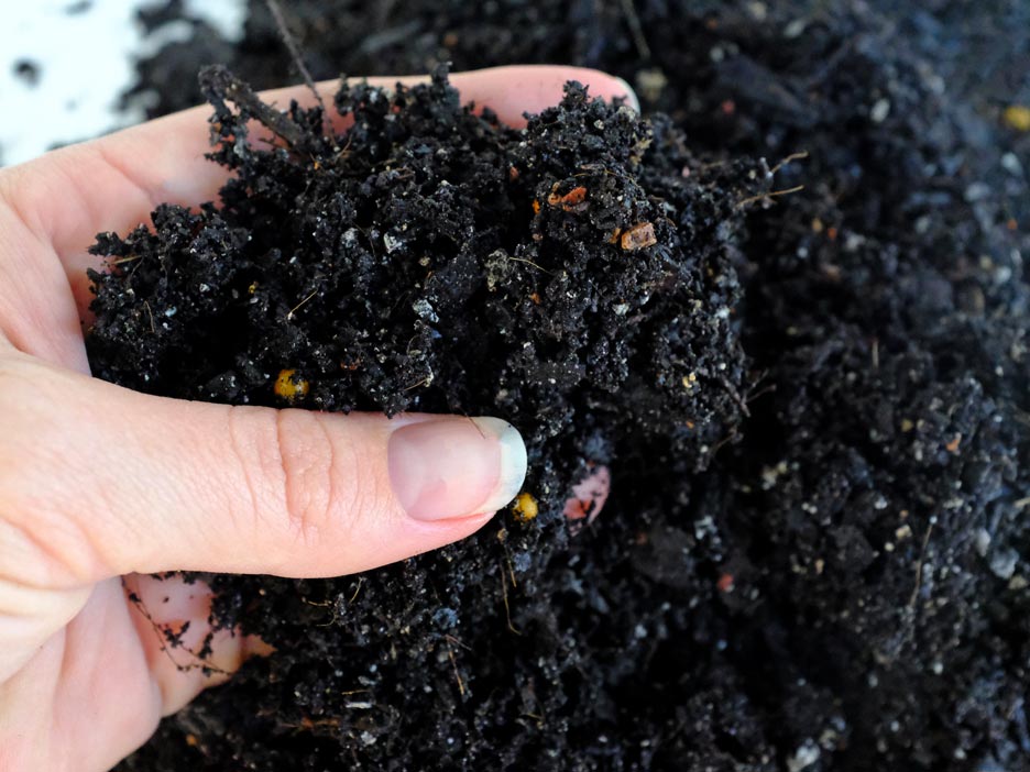 A hand holding some premium potting mix