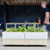 Mobile Self-Watering Raised Cafe Planter 