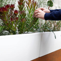 Pilbara Planter