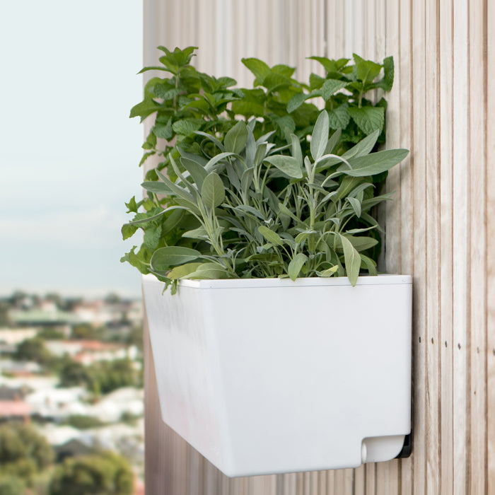 Self watering hanging garden planter