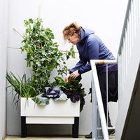 Woman tending to a modern indoor self watering planter box